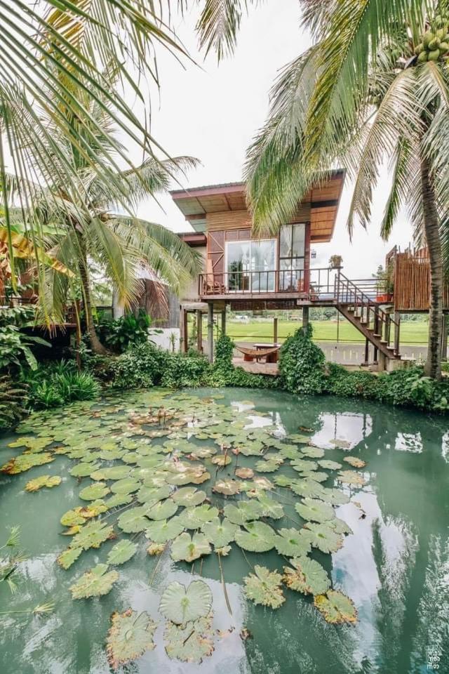 ต้งโฮมสเตย์ Tung homestay น่าน ภายนอก รูปภาพ